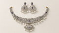 Elegant Silver Neck Set