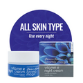 Aroma Magic Vitamin E Nourishing Night Cream Replenishes & Repair Skin